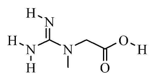 creatine monohydrate essay creatine monohydrate essay