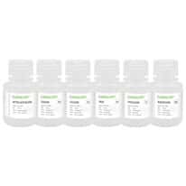 Spex SPXMT-KIT Minerals Testing Kit, 1,000 µg/mL in 2% HNO3; 30 mL Spex SPXMT-KIT Minerals Testing Kit, 1,000 µg/mL in 2% HNO3; 30 mL