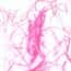 Cole-Parmer Prepared Slide, Involuntary Smooth Muscle, Ls and Cs Cole-Parmer Prepared Slide, Involuntary Smooth Muscle, Ls and Cs