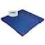 Adam Equipment PT Industrial Platform Scales with Display Adam Equipment PT Industrial Platform Scales with Display