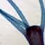 Cole-Parmer® Prepared Microscope Slides, Animal Cole-Parmer® Prepared Microscope Slides, Animal