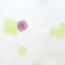 Cole-Parmer® Prepared Microscope Slides, Animal Cole-Parmer® Prepared Microscope Slides, Animal