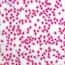 Cole-Parmer® Prepared Microscope Slides, Animal Cole-Parmer® Prepared Microscope Slides, Animal