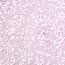 Cole-Parmer® Prepared Microscope Slides, Human Cole-Parmer® Prepared Microscope Slides, Human