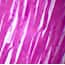 Cole-Parmer® Prepared Microscope Slides, Human Cole-Parmer® Prepared Microscope Slides, Human