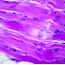 Cole-Parmer® Prepared Microscope Slides, Human Cole-Parmer® Prepared Microscope Slides, Human
