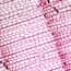 Cole-Parmer® Prepared Microscope Slides, Plants Cole-Parmer® Prepared Microscope Slides, Plants