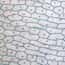 Cole-Parmer® Prepared Microscope Slides, Plants Cole-Parmer® Prepared Microscope Slides, Plants