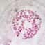 Cole-Parmer® Prepared Microscope Slides, Plants Cole-Parmer® Prepared Microscope Slides, Plants