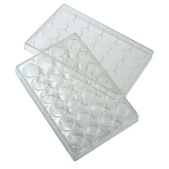 Cole Parmer 24 Well Treated Cell Culture Plate With Lid 100 Cs From Cole Parmer Germany