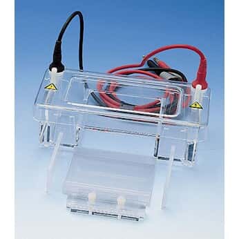 Cole-Parmer Horizontal Mini-gel unit, 7.5 x 10 cm gel bed