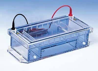 Cole-Parmer Submarine Horizontal Gel System