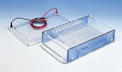 Cole-Parmer High-Throughput Horizontal Gel System