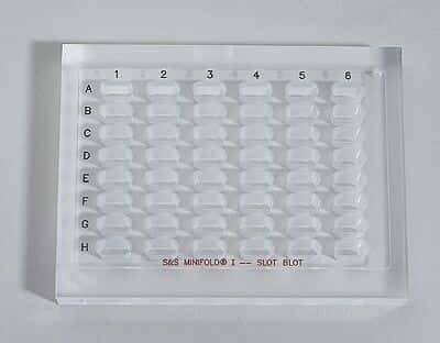 Slot Blot Slot Blot