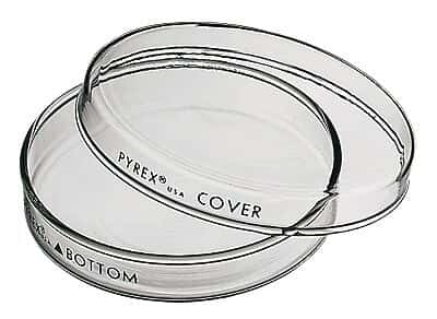 pyrex dish covers