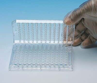 Lab Equipment Disposable Plastic 96-Pin Replicator Plates - 100 Per Box ...