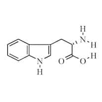 L(-)-Tryptophan, 99%; 100 g