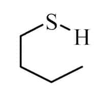 Acros Organics 1-Butanethiol 99+% (50 mL)