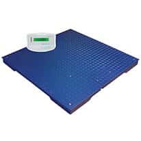 Adam Equipment PT 312-5GKaM Floor Scale with GKaM Indicator, 5000lb/3000kg x, 1Lb/500G, 115V