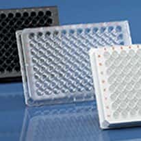 BrandTech BRANDplates® pureGrade™  Non-Treated, Sterile Microplate, 96-Well, PClear, 350 µL, Standard C-Bottom; 50/PK