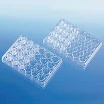 BrandTech 782802 BRANDplates® cellGrade™ plus, 6-Well Insert System with Smooth Wall, Polycarbonate Membrane, 0.4 µm, 13 mm; 5/PK