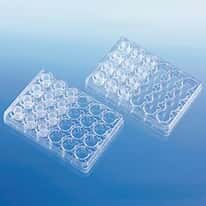 BrandTech BRANDplates® Bio-Cert® Microplates for Inserts, 24-Well, 13 mm; 10/PK