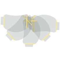 Bullard HMXLC5PK Disposable Lens Cover for HMXi Respirator; 5/Pk