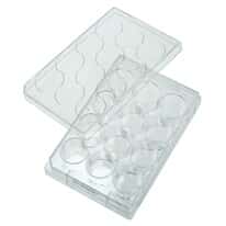 Cole-Parmer Cell and Tissue Culture Plates with Lid, Sterile, Polystyrene, Untreated, 12-Well; 100/CS
