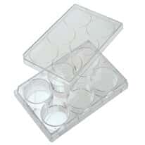 Cole-Parmer Cell and Tissue Culture Plates with Lid, Sterile, Polystyrene, Treated, 6-Well; 100/CS