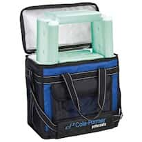 Cole-Parmer Transport Bag 16 L with Four 22°C Blocks (1 L)