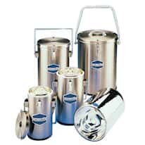 Universal-Style Stainless Steel and Glass Dewar Flask with Handle and Lid, 2 L