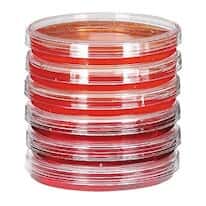 Sterile Petri Dishes; 60 mm dia x 15 mm H; 500/box