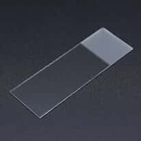 Cole-Parmer Microscope Slides, Single-Frosted, Cut Edges, 90° Corners; 50/PK