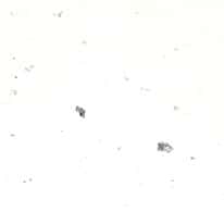 Cole-Parmer Prepared Slide, Mixed Diatoms, Wm