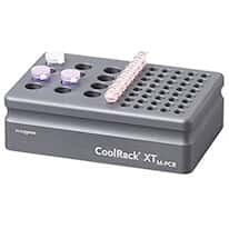 Corning CoolRack® XT M-PCR Cooling Block, 12 x 1.5/2 mL Microcentrifuge Tubes or 6 Stripwells; Gray