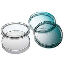 Contact Dish, Polystyrene, 60 x 15 mm, Sterile, Flat Bottom, 3 Vents; 720/Cs