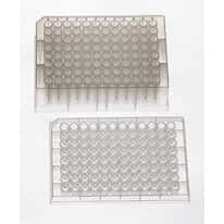 Costar 96-Well Microplate, Deep Well, Sterile, V-Bottom, 2 mL; 25/Cs