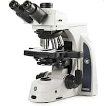 Euromex Delphi-X Observer™ Research Trincoular Compound Microscope, 4/10/40/100x, Brightfield Plan, 100-250 VAC