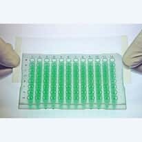 Excel Scientific Thermal Cycling Film, Polyolefin, 50um, PCR; 100/Pk