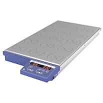 IKA 3692601 RT 15 Position Stirring Hot Plate, 115V