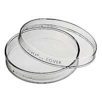 Couvercle De Boîte De Pétri PYREX - Référence 3160 - Verre Borosilicate - Neuf