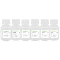 Spex SPXHM-KIT Heavy Metals Testing Kit, 1,000 µg/mL; 30 mL