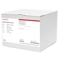 Spex 182002 Sodium Thiosulfate, 0.0394 N in H2O/0.5% Amyl Alcohol; 1 Gallon