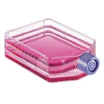 Thermo Scientific Nunc 156367 Cell Culture Flask, Polystyrene