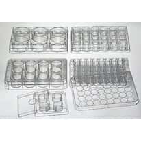 Thermo Scientific Nunc 240835 Square BioAssay Dishes, Sterile