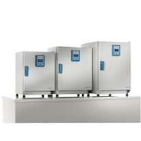 Thermo Scientific Heratherm 51028874 GP Gravity Oven; 6.2 cu ft/120V