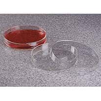 Nalgene 5500-0010 Petri Dishes, Polymethylpentene, 100 x 15 mm; 10/Pk