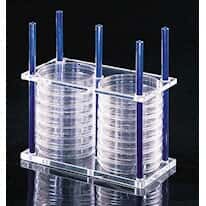 Thermo Scientific Nalgene 5922-0024 Petri Dish Rack, Acrylic, Hold 24 x 100 mm Dishes