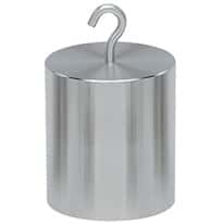 Troemner 12006-S 10 lb Class F Stainless Steel Hook Top Weight with No Cert