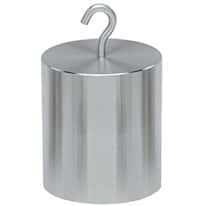 Troemner 12320-SW 100g Class F Stainless Steel Hook On Top Mass, NVLAP Accredited Certificate